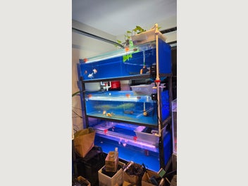 Image 1 of 10
