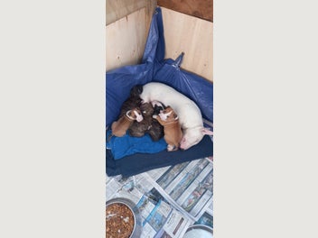 Image 1 of 18
