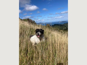 Image 1 of 13