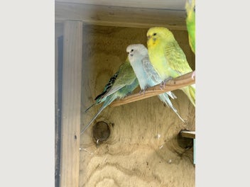 Image 1 of 13
