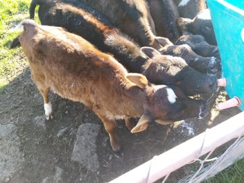 Image 1 of 10