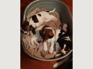 Image 1 of 11