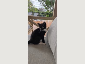 Image 1 of 6