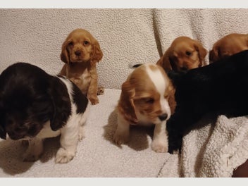 Image 1 of 5