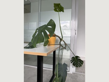 Image 1 of 11
