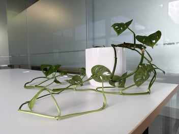 Image 1 of 8