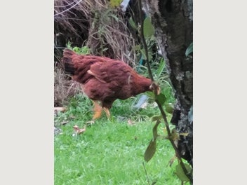Image 1 of 6