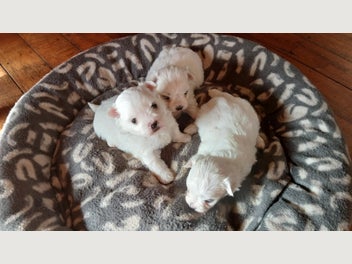 Image 1 of 10