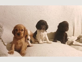 Image 1 of 7