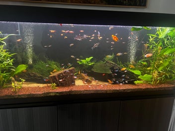 Image 1 of 20
