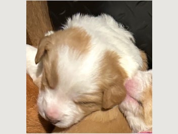 Image 1 of 14