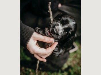 Image 1 of 13