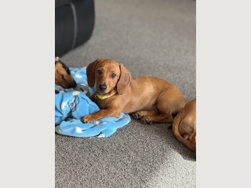 Image 1 of 10