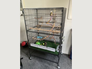 Image 1 of 1