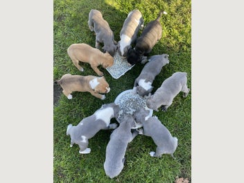 Image 1 of 16