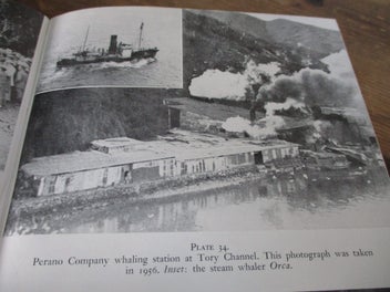 Image 1 of 14