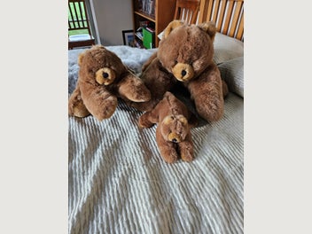 Image 1 of 8