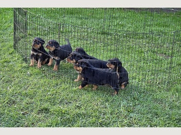 Image 1 of 9