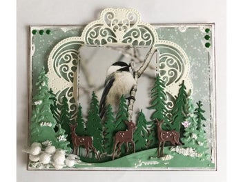 Image 1 of 6