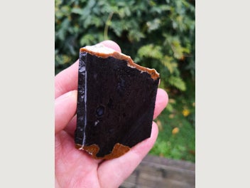 Image 1 of 7