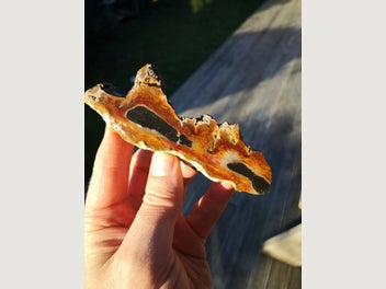 Image 1 of 8