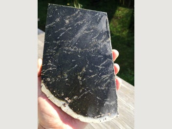 Image 1 of 10