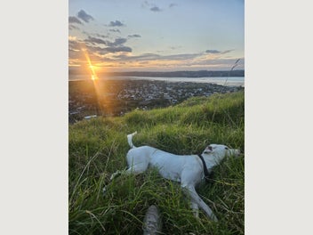 Image 1 of 8