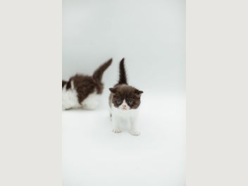 Image 1 of 9