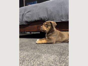 Image 1 of 16