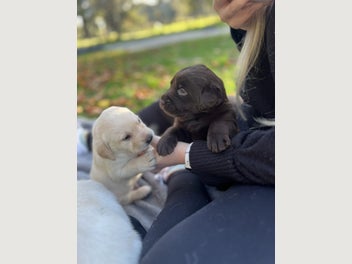 Image 1 of 19