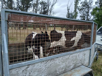 Image 1 of 5