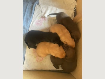 Image 1 of 18