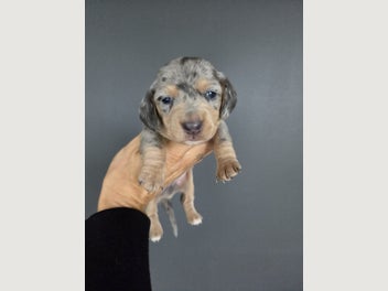 Image 1 of 13