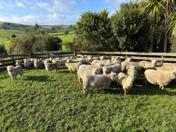 Image 1 of 4