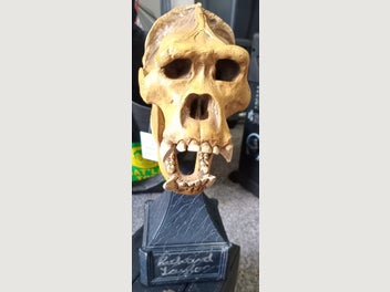 Image 1 of 6