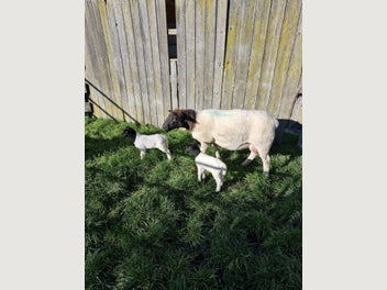 Image 1 of 8
