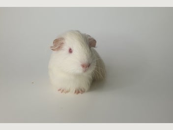 Image 1 of 18