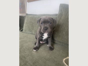 Image 1 of 12