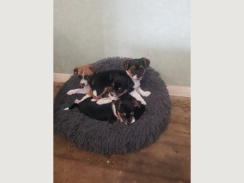Image 1 of 8