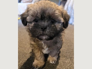 Image 1 of 10