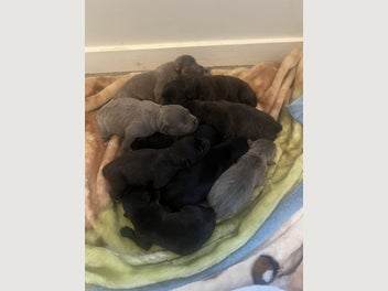 Image 1 of 13