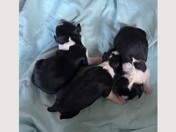 Image 1 of 20