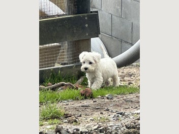 Image 1 of 10