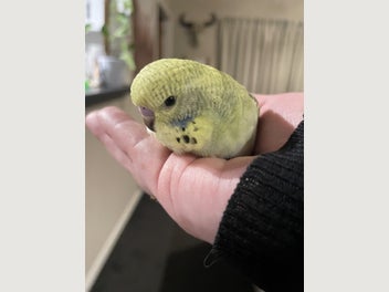 Image 1 of 6