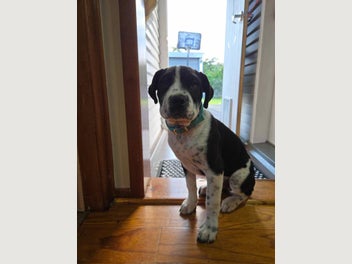 Image 1 of 8