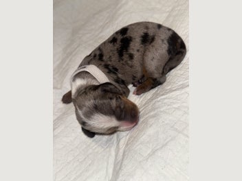 Image 1 of 9