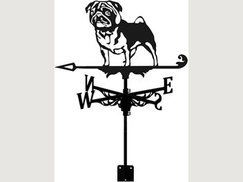Image 1 of 7