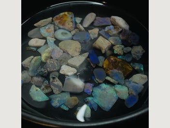 Image 1 of 16