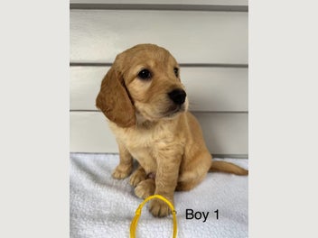 Image 1 of 10
