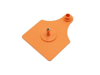 Image 1 of 10